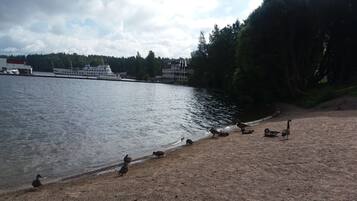 Vissen