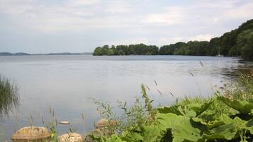 A calm lake with a forested island in the distance, surrounded by greenery and rocks.