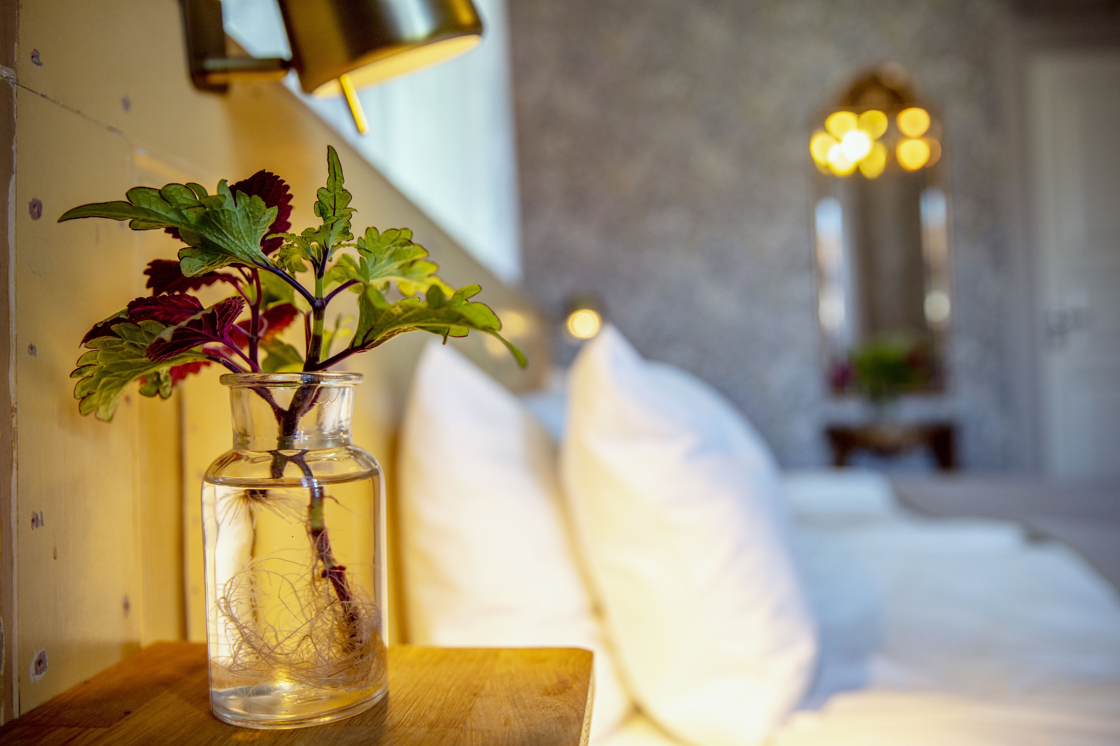 A clear glass vase with a plant on a wooden table in a room with a bed and a lamp in the background.