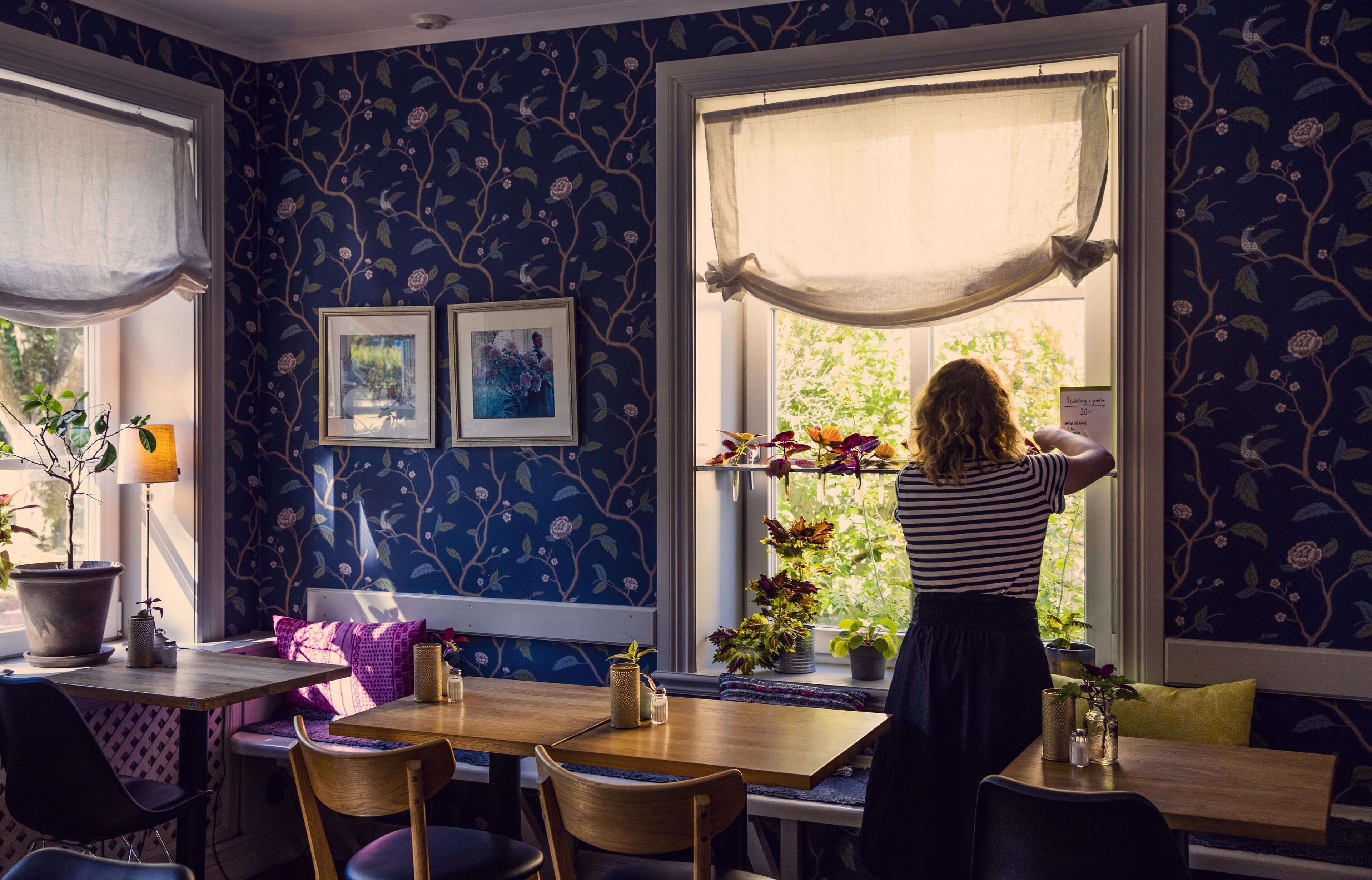 Gratis frukostbuffé varje dag 