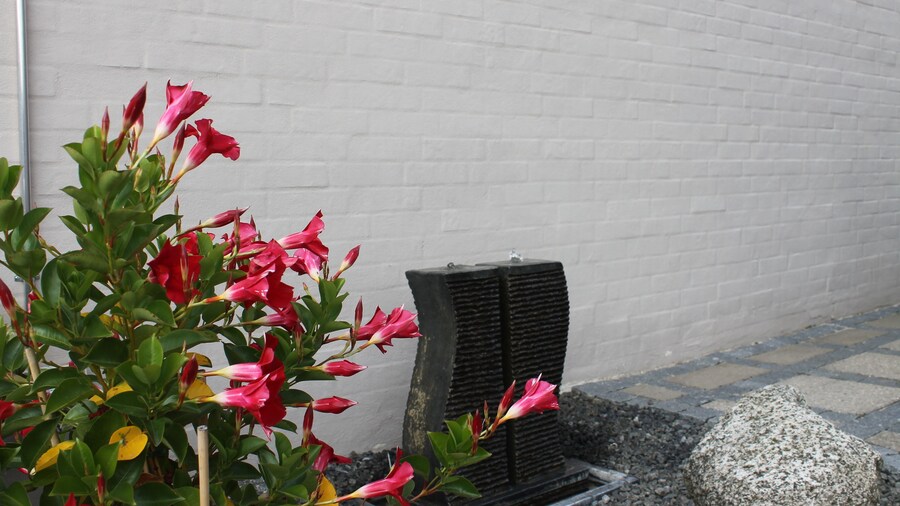 Amalie B&B Apartments