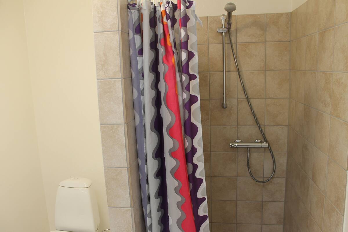A shower area with a showerhead and a handheld shower attachment.