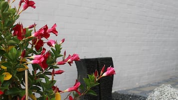 A plant with pink flowers in front of a white brick wall.
