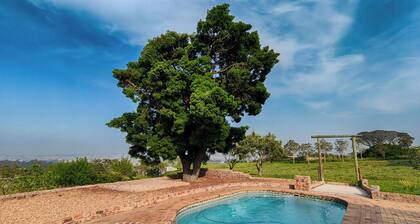 Capelands Wine Farm