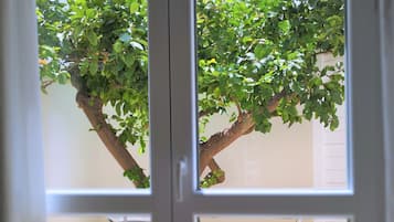 Doppelzimmer, Terrasse