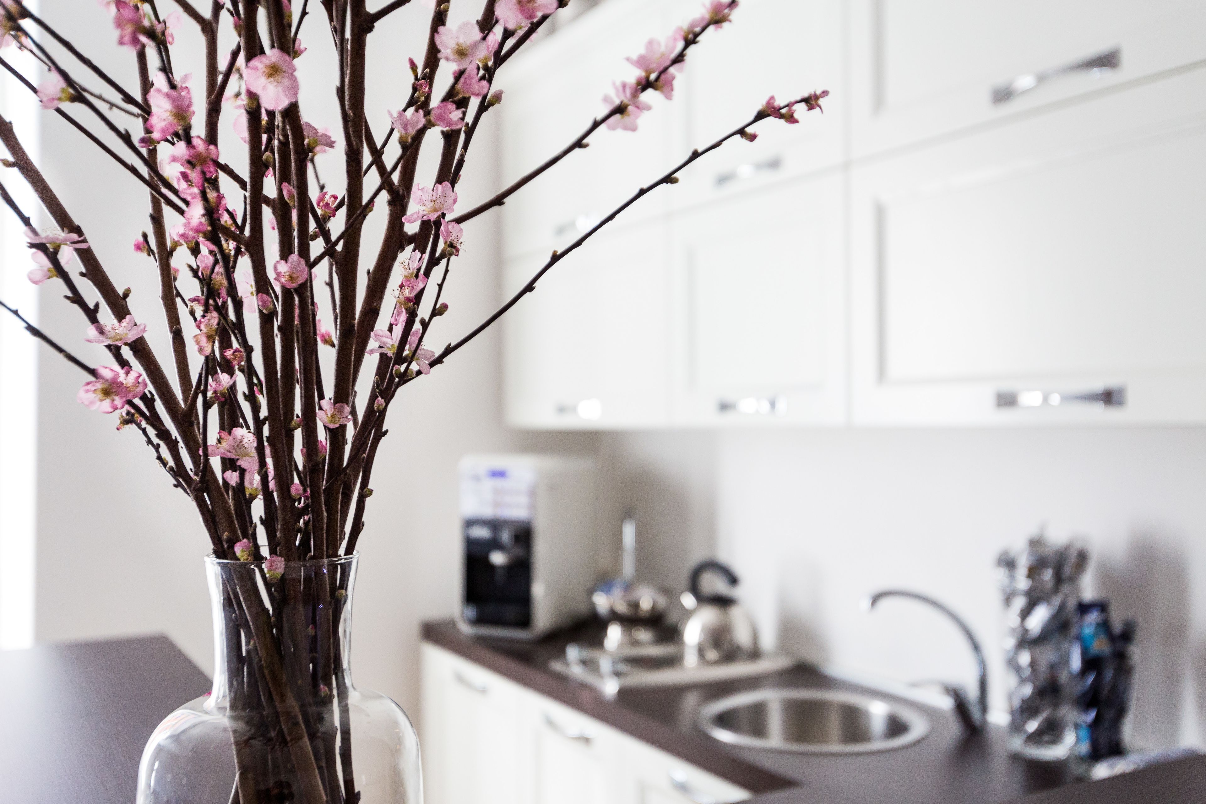 Habitación superior | Cocina privada | Refrigerador, microondas, parrilla de estufa y lavavajillas 