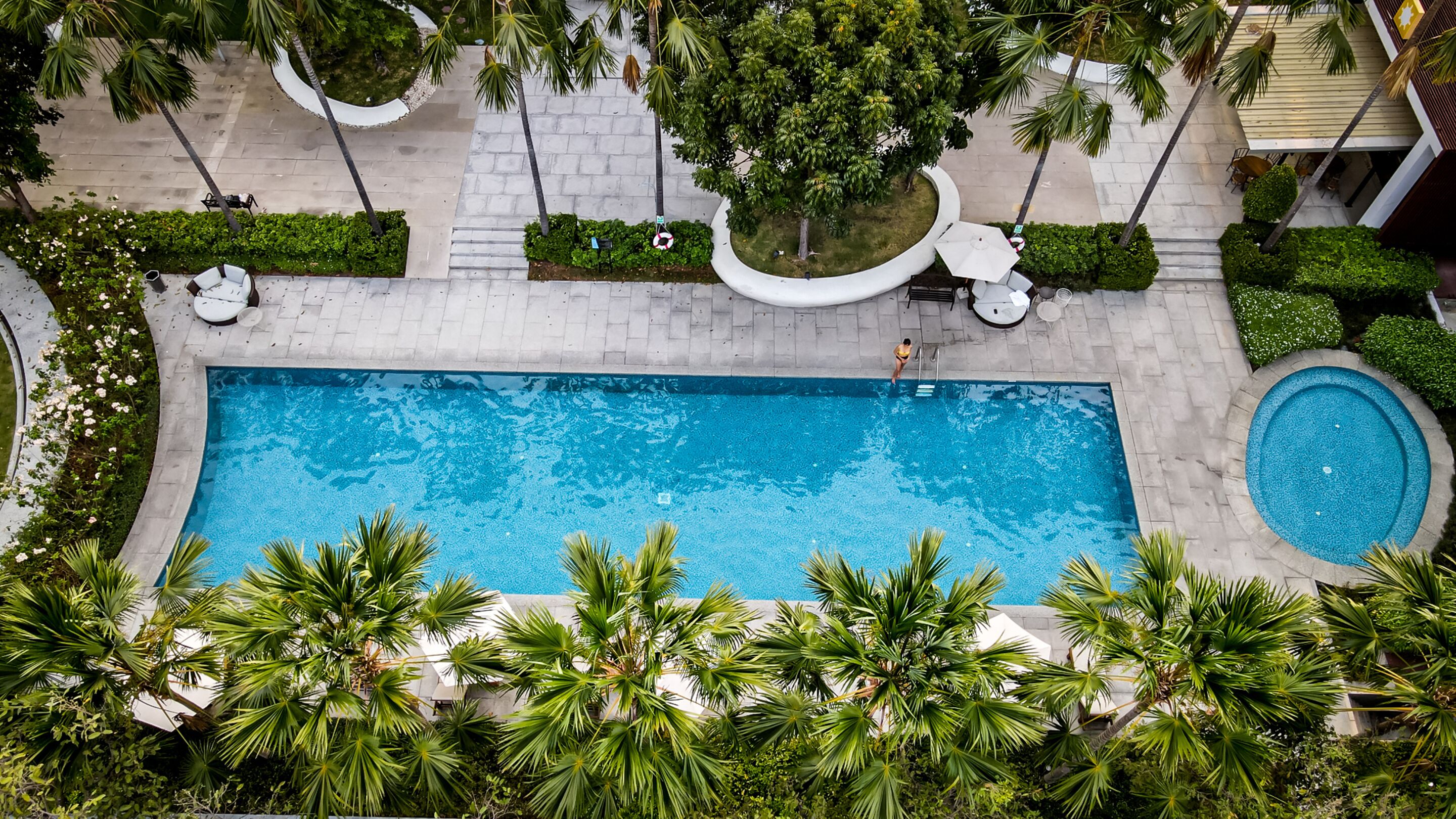 A rectangular swimming pool surrounded by palm trees and a paved walkway.