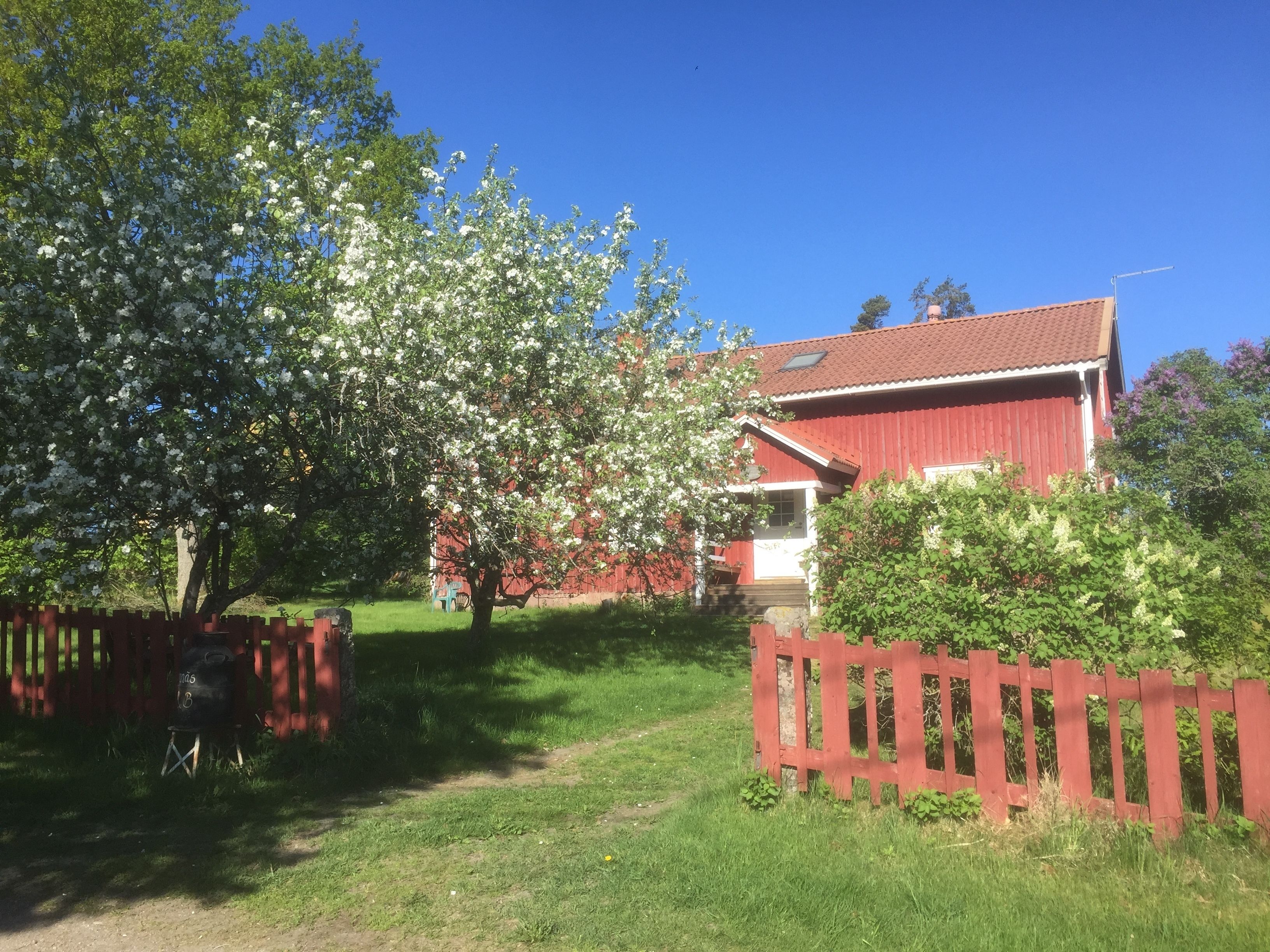 standard twin room, shared bathroom, garden view | garden view