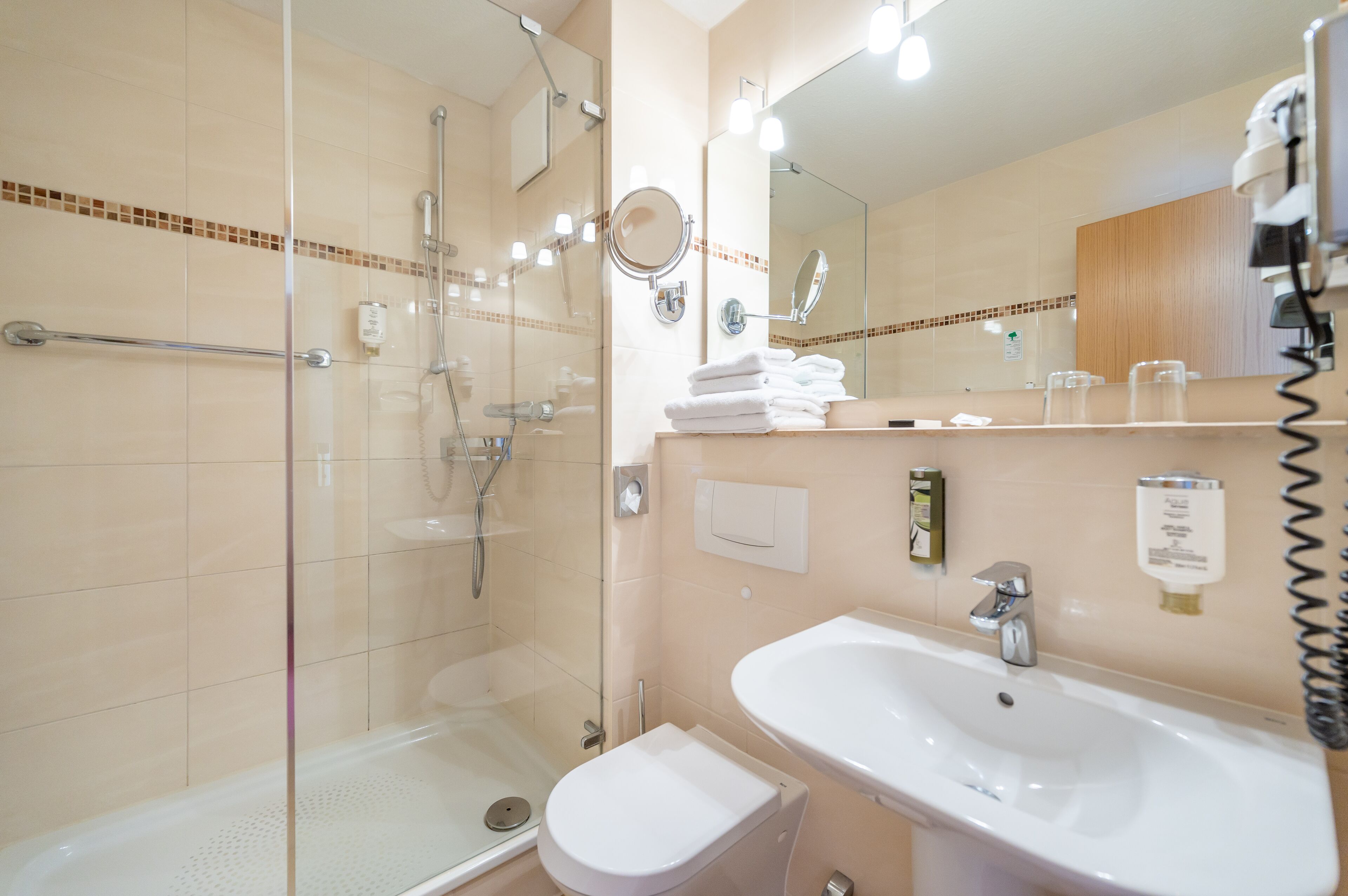 A modern bathroom with a glass shower enclosure, a white sink, and a large mirror.