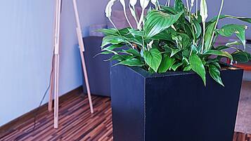 Comfort Apartment, 1 Bedroom, Non Smoking, Kitchenette