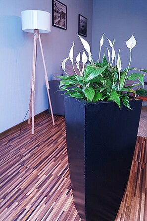 Comfort Apartment, 1 Bedroom, Non Smoking, Kitchenette