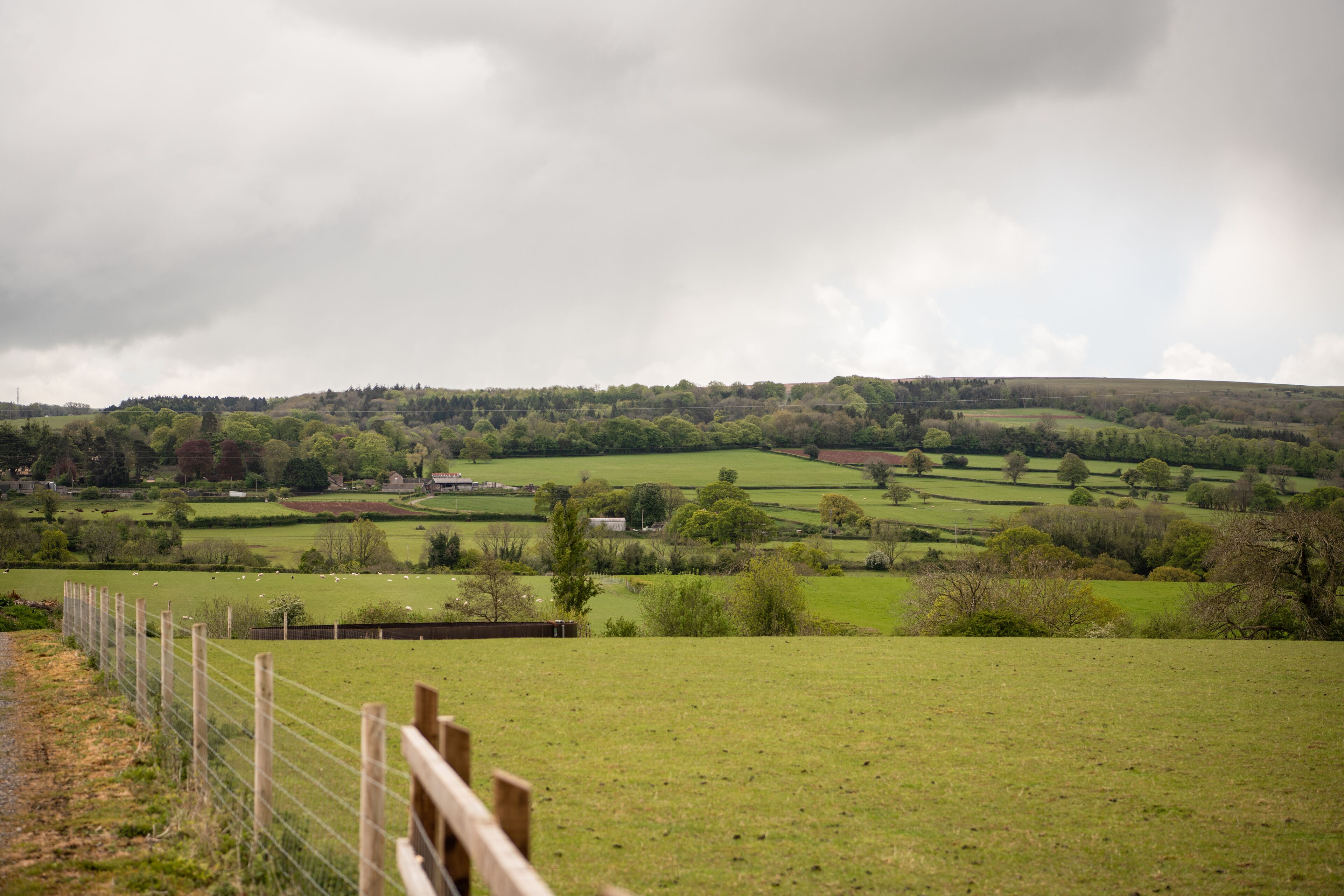 A rural landscape with rolling hills, a fenced field, and scattered trees.