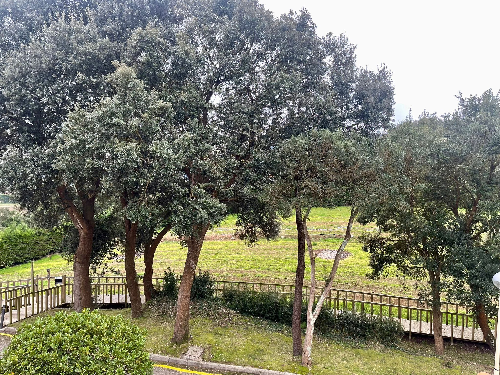 superior double room, balcony | garden view