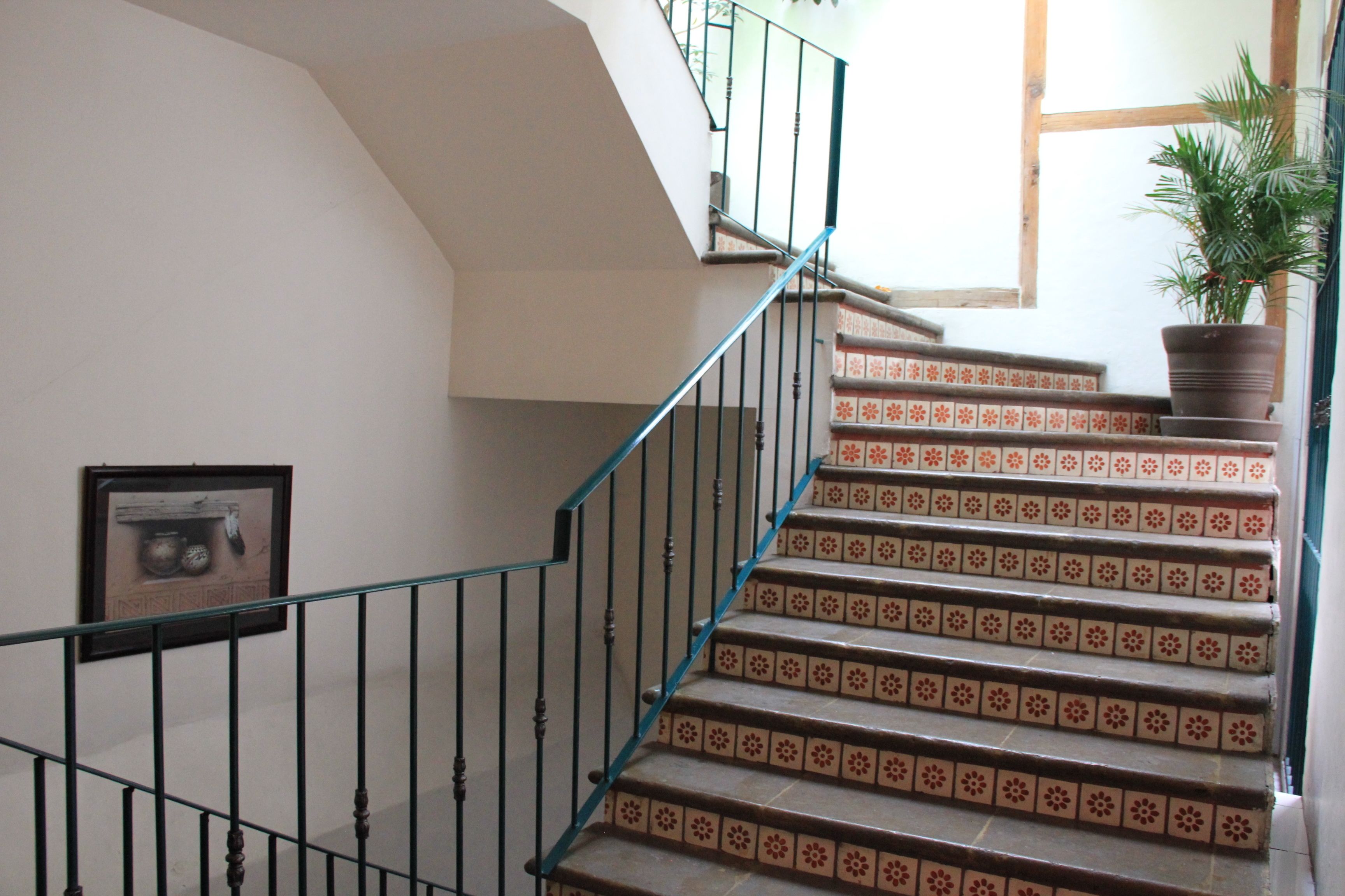 Photo - Mexico City Hostel