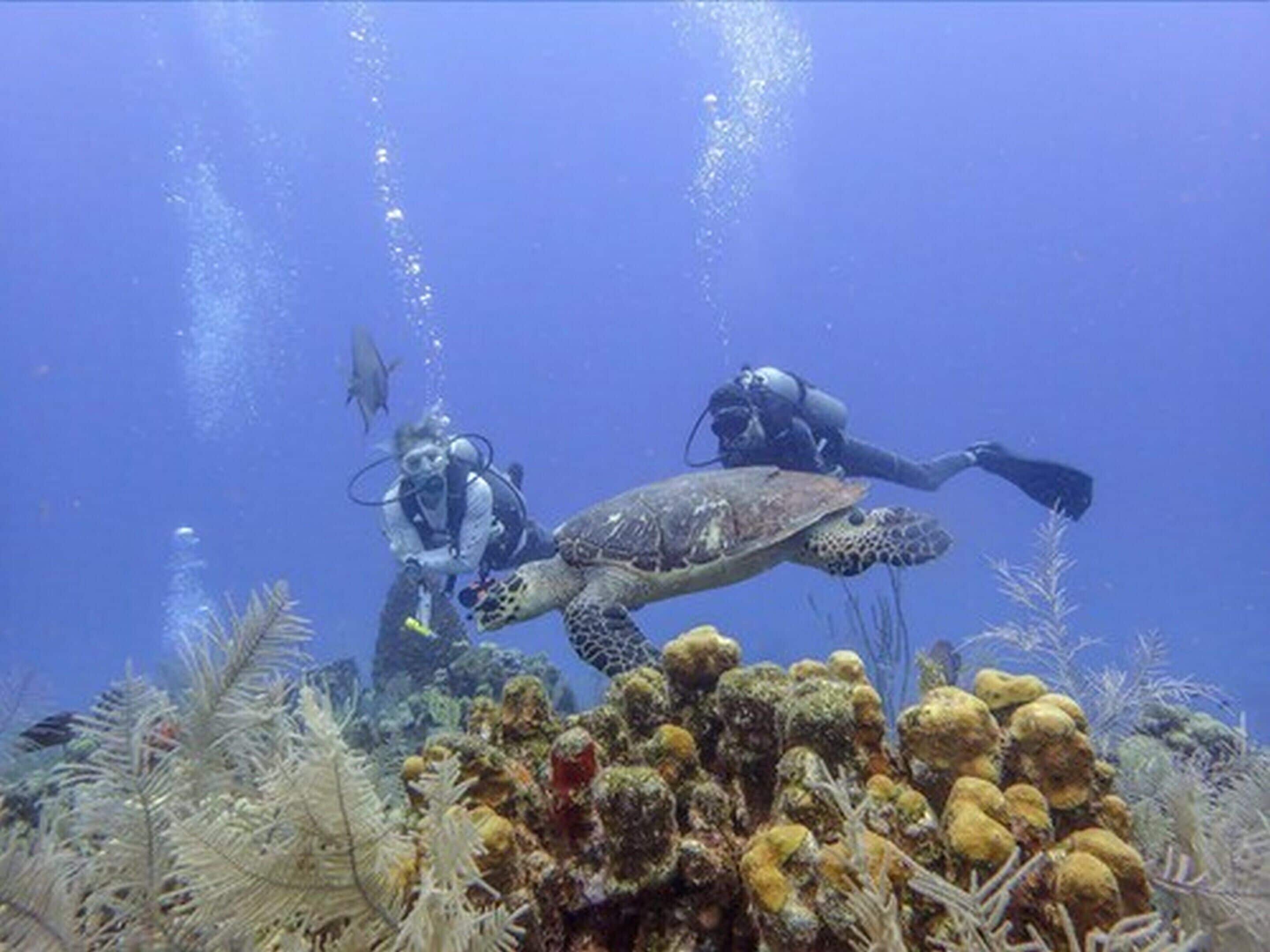 beach nearby, 2 beach bars