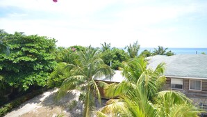 A house with a view of the ocean, surrounded by lush greenery and palm trees.