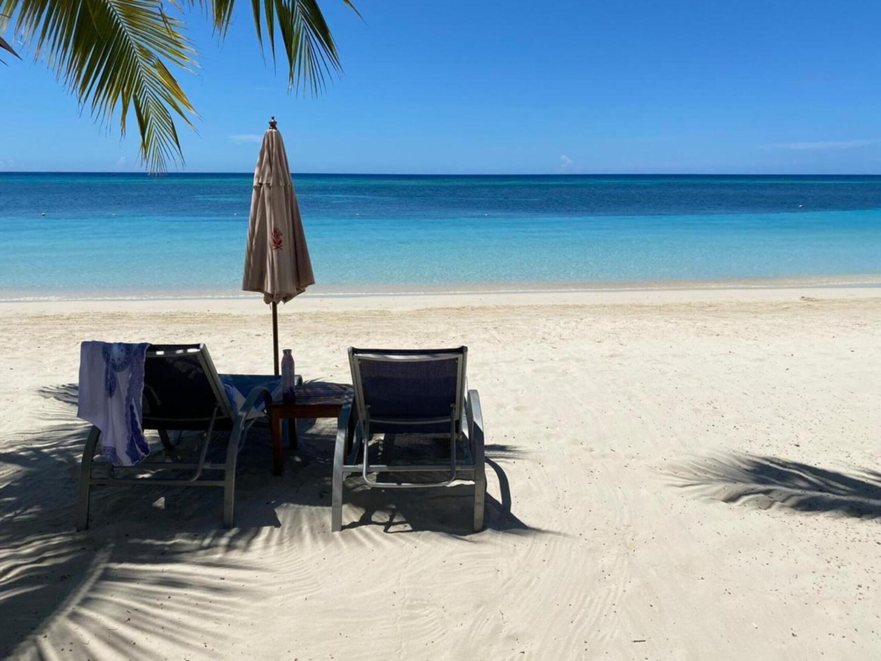 A beach with two lounge chairs and an umbrella, a palm tree, and a clear view of the ocean.