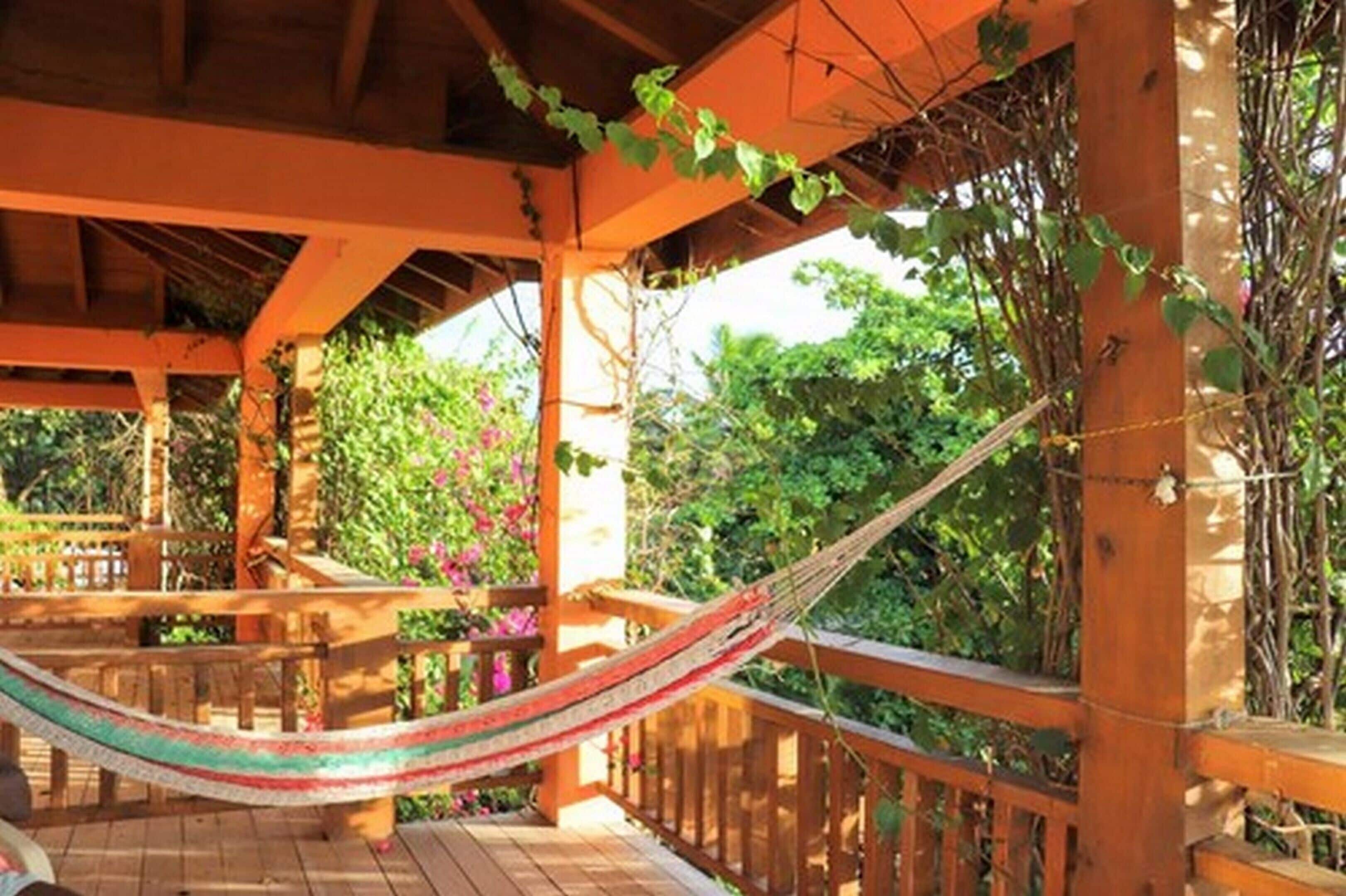 Una terraza de madera con una hamaca, rodeada de abundante follaje y una pérgola de madera.