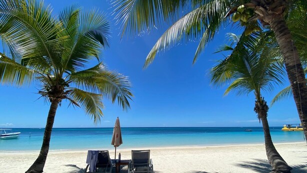A beach with two palm trees, a beach umbrella, and two lounge chairs.