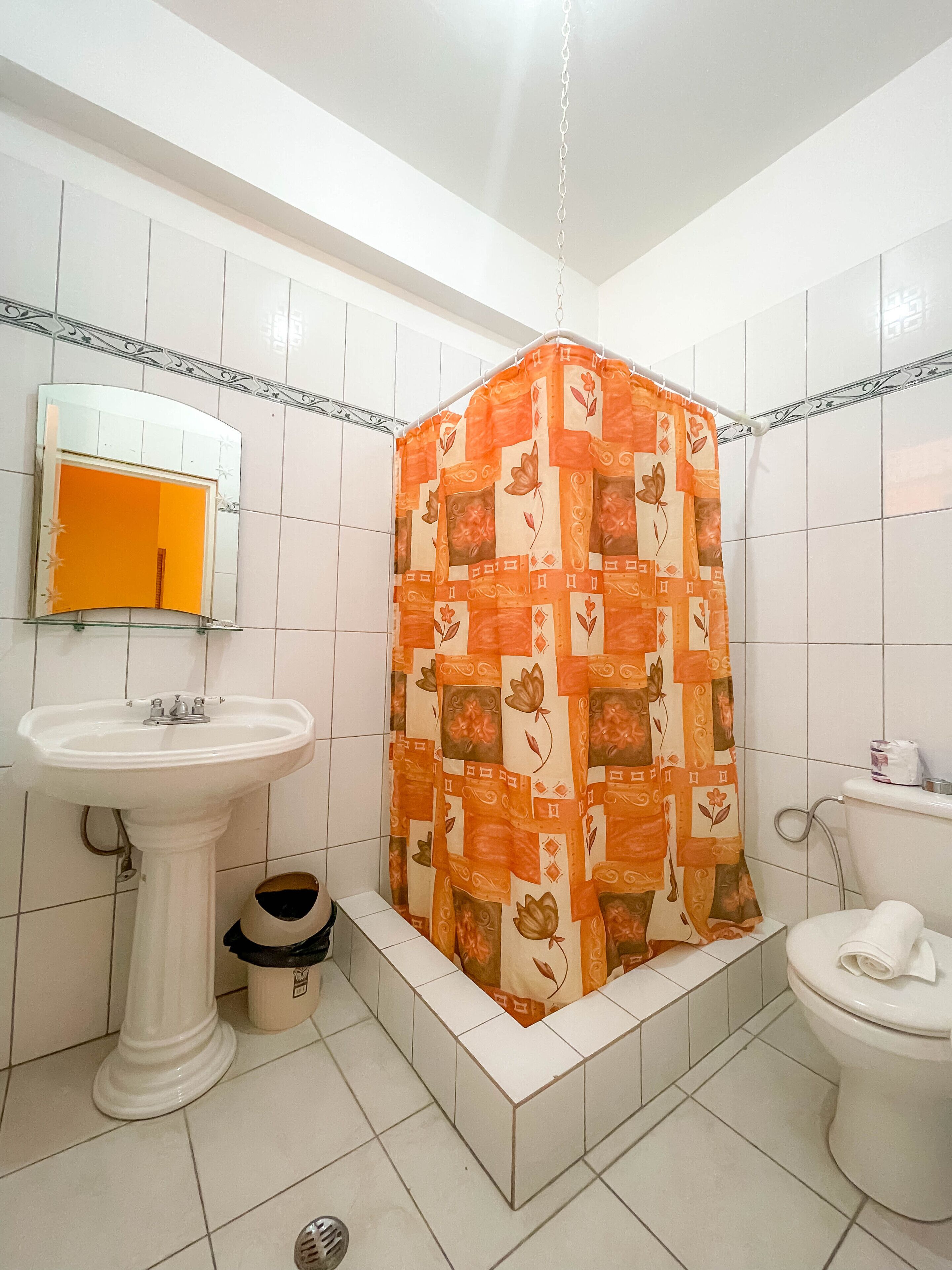 A bathroom with a white sink, a mirror, a toilet, and a shower curtain with a floral pattern.