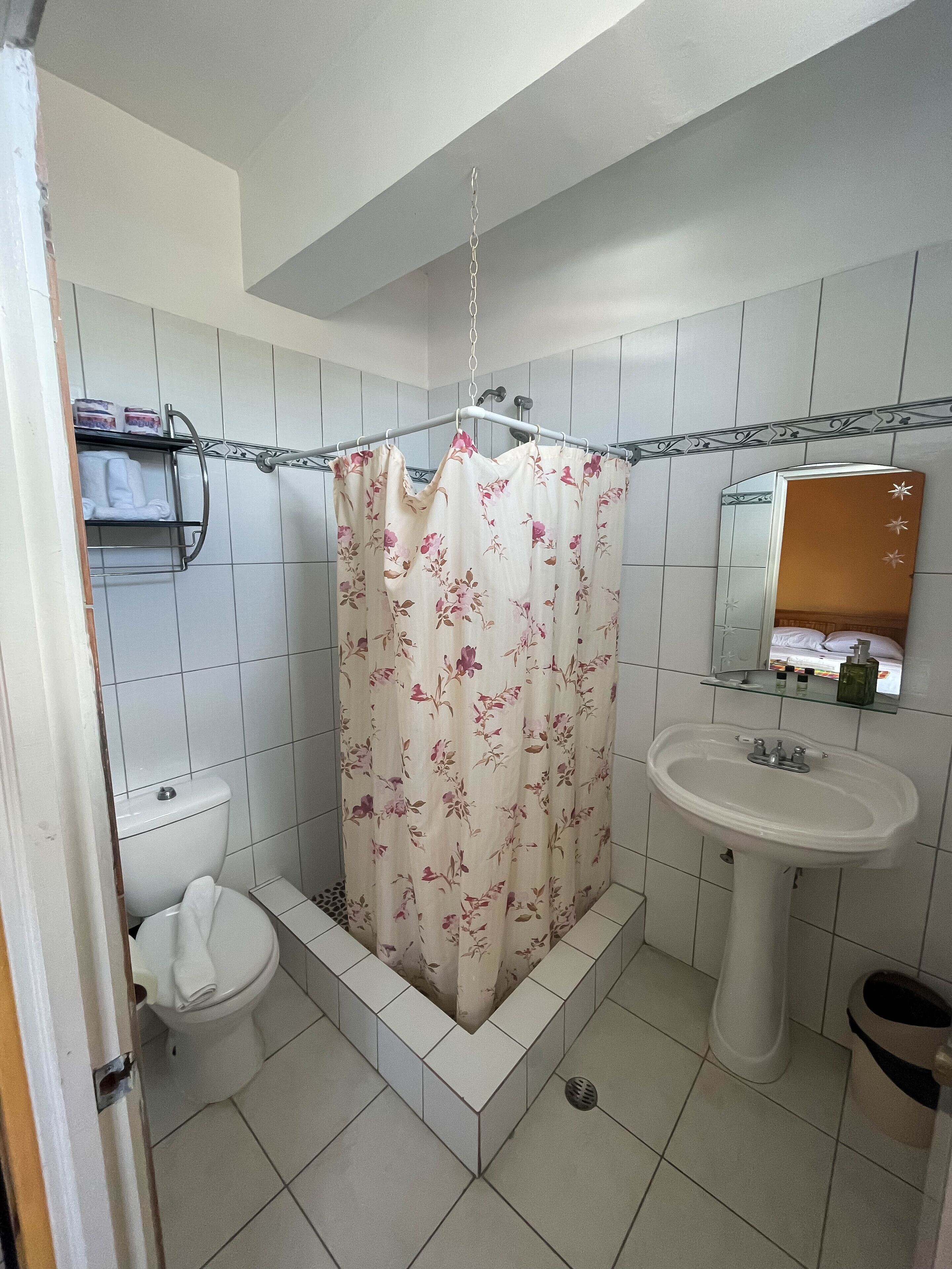 Un baño con cortina de ducha, inodoro, lavabo y espejo.