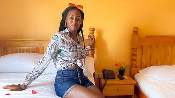 Silitysrauta/-lauta, ilmaiset lisävuoteet, ilmainen Wi-Fi