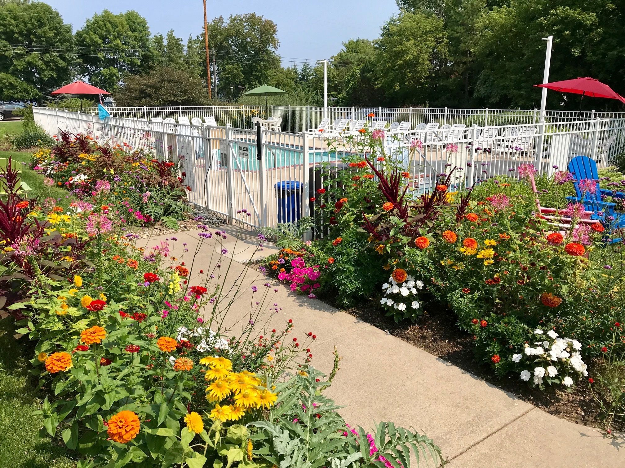 seasonal outdoor pool, open 9:00 am to 9:30 pm, pool umbrellas
