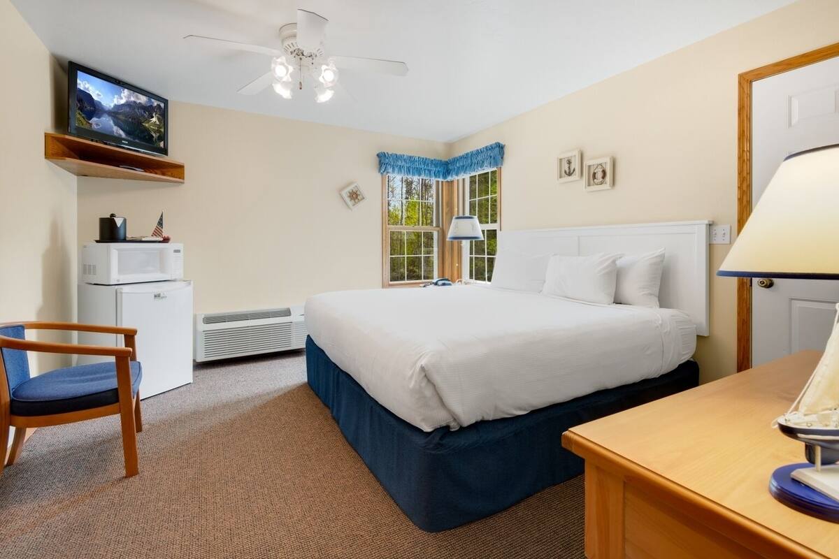 A hotel room with a bed, a desk, a chair, a television, a microwave, and a heater.