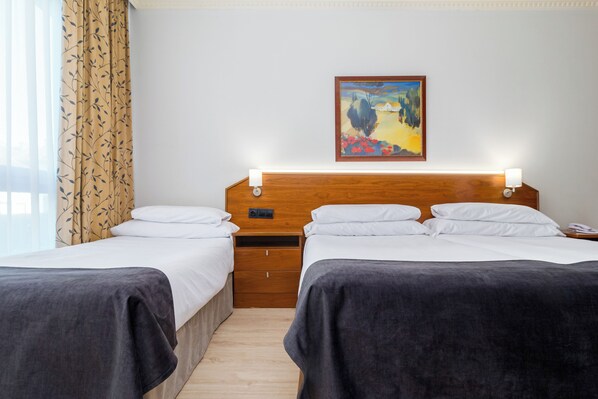 Basic Double or Twin Room, 1 Single Bed (2 adults + 1 child) | Minibar, in-room safe, desk, soundproofing