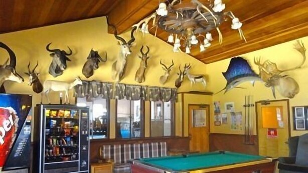 A room with a pool table, a bar area, and various animal horns displayed on the walls.