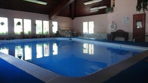 An indoor swimming pool with clear water, surrounded by windows and potted plants.