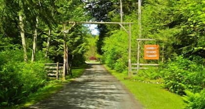 Forest Echoes Cabins