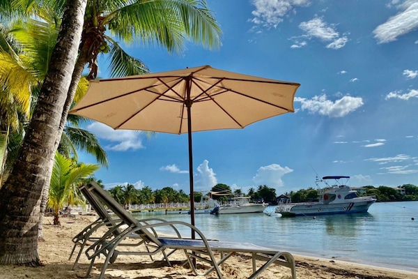 Na praia, prática de mergulho autônomo