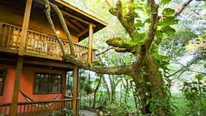 A wooden cabin with a balcony, surrounded by dense greenery. - Posada Arco Iris (Roatan)