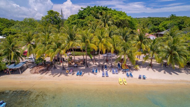 A beach with palm trees, lounge chairs, and kayaks. - Posada Arco Iris (Roatan)