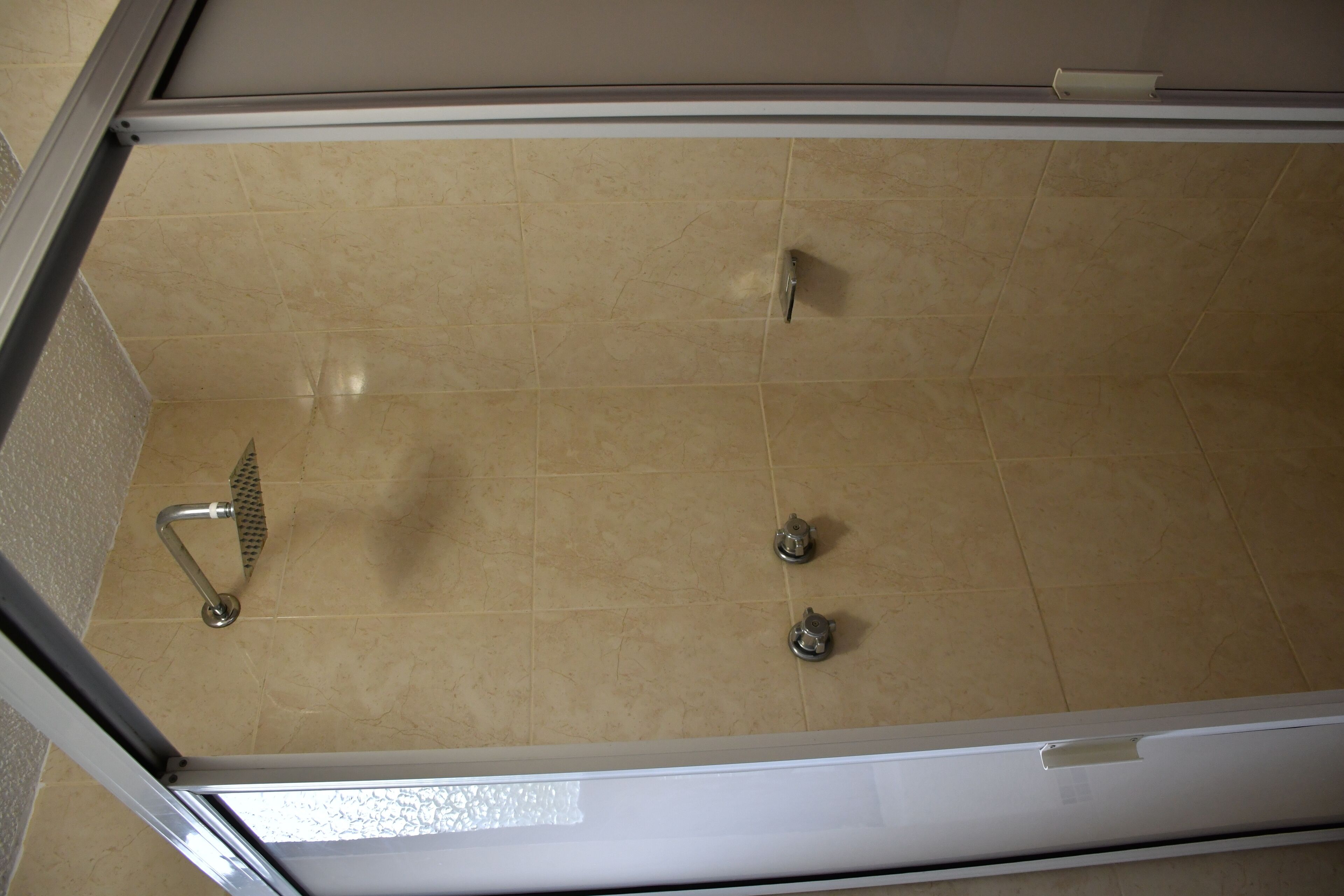 Een douche met een glazen deur en een handdouche.
