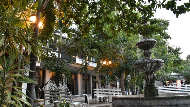 Un patio con una fuente, bancos y abundante vegetación.