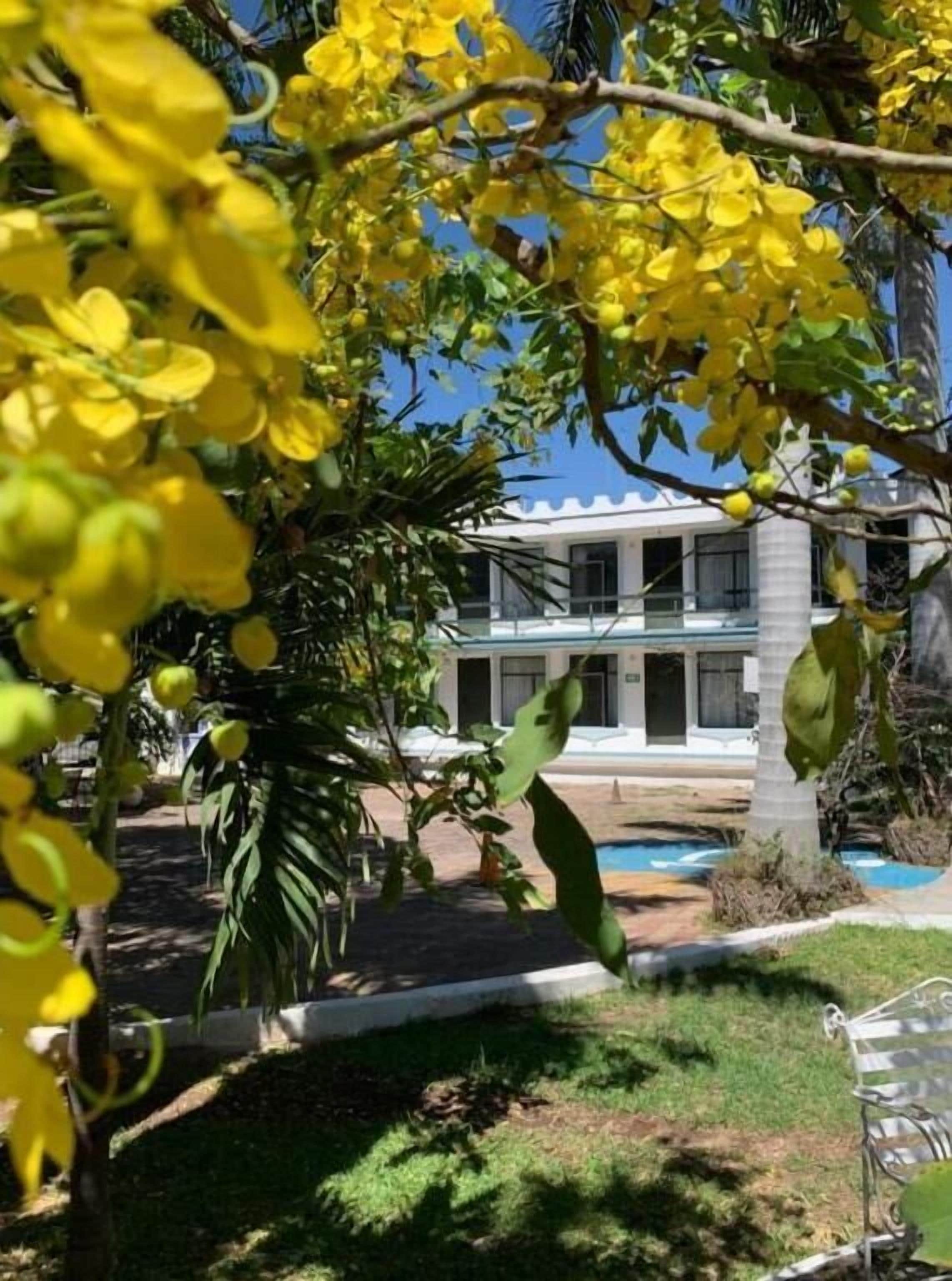 Un edificio moderno con piscina y jardín con árboles de flores amarillas.