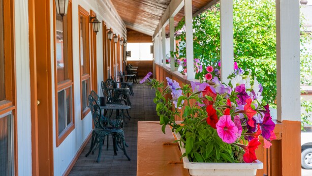 A covered outdoor seating area with tables and chairs, a potted plant with colorful flowers, and a view of greenery. - Cedar Motel (Radium Hot Springs)