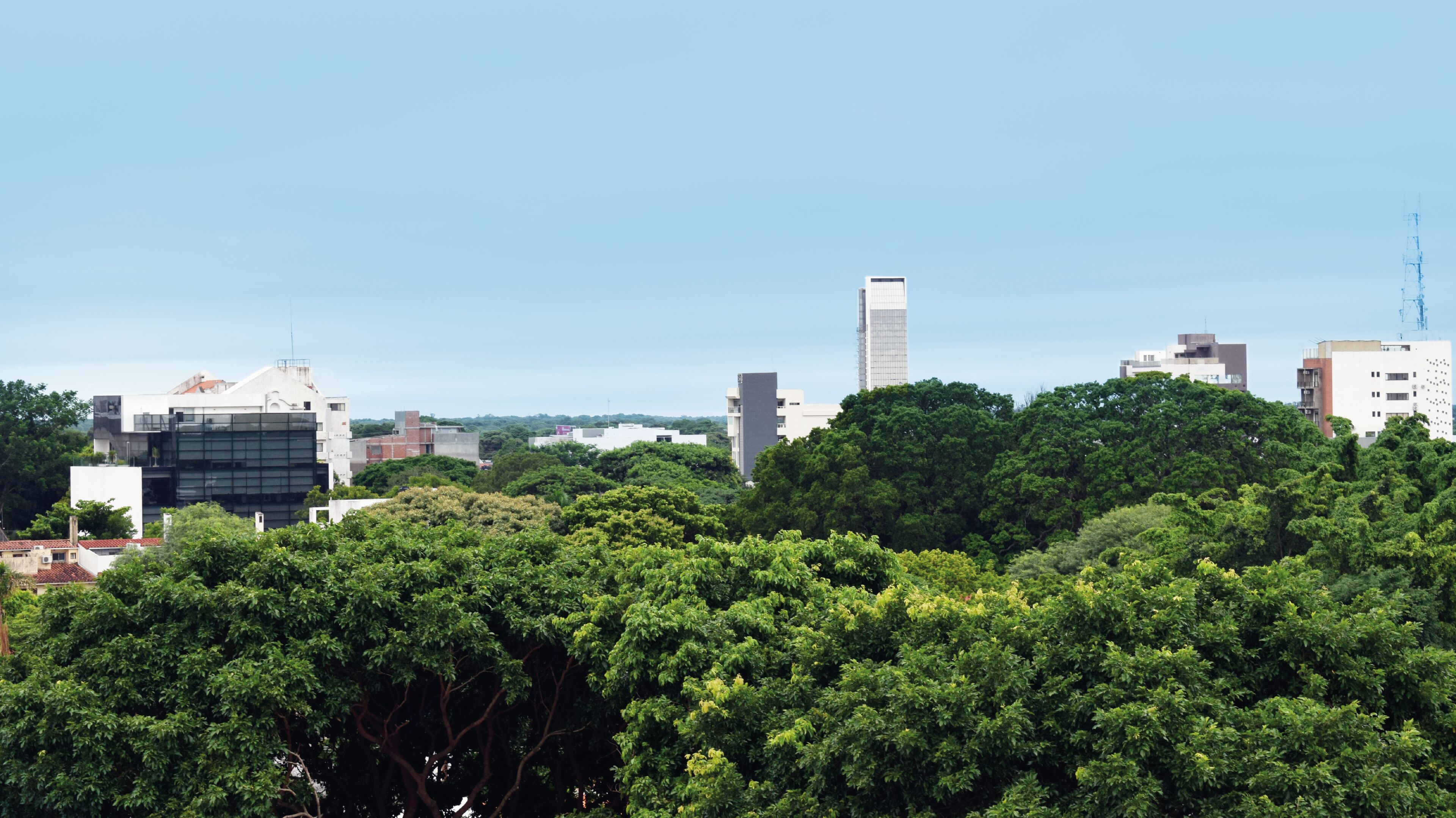 Photo - Delfines Collection Hotel by Mercure