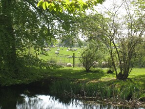 Garden view - Colston Hall Cottages (Woodbridge)