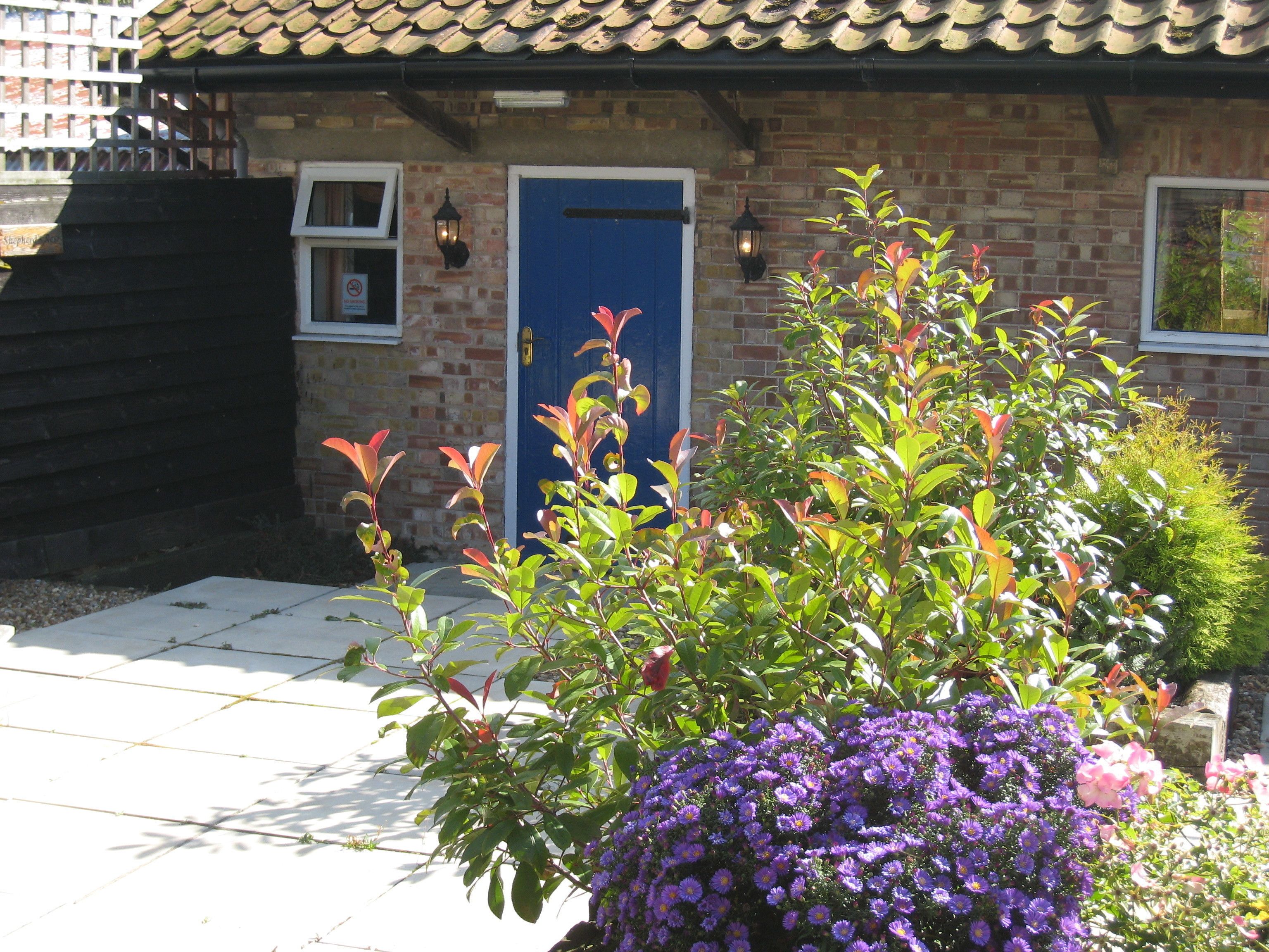 A brick house with a blue door, a small window, and a garden with purple flowers.