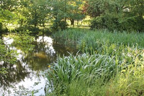 Carpenter's Cottage | Garden view