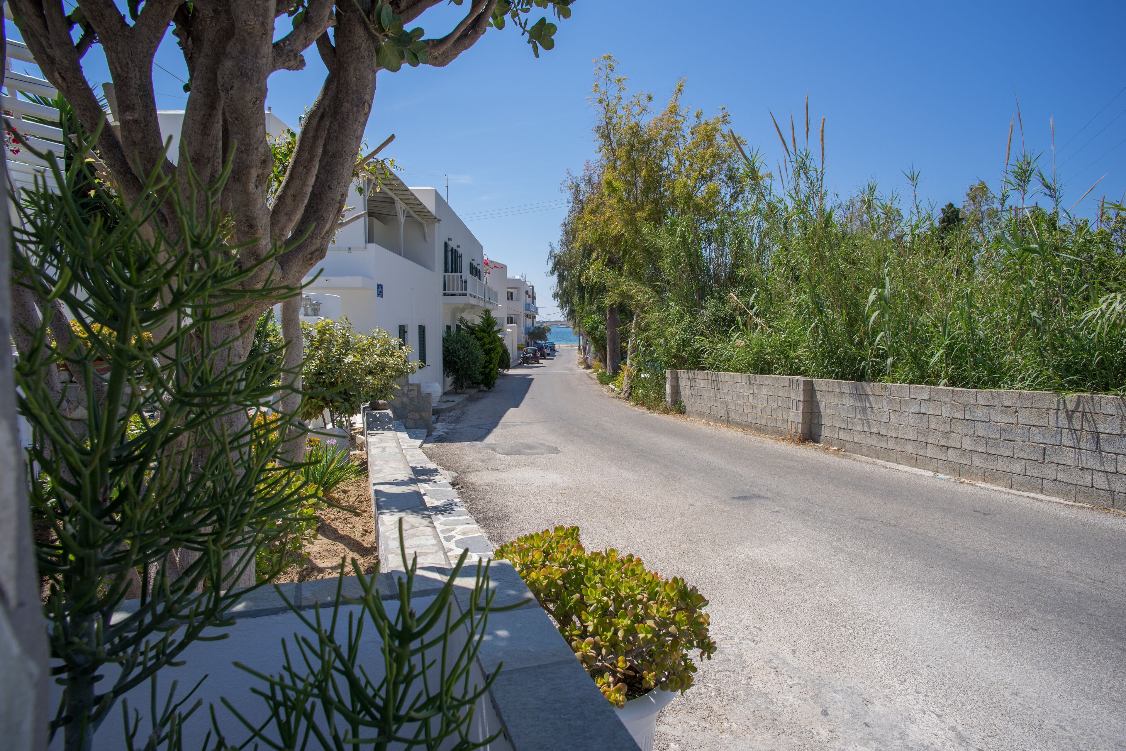 Foto - Hotel Cyclades