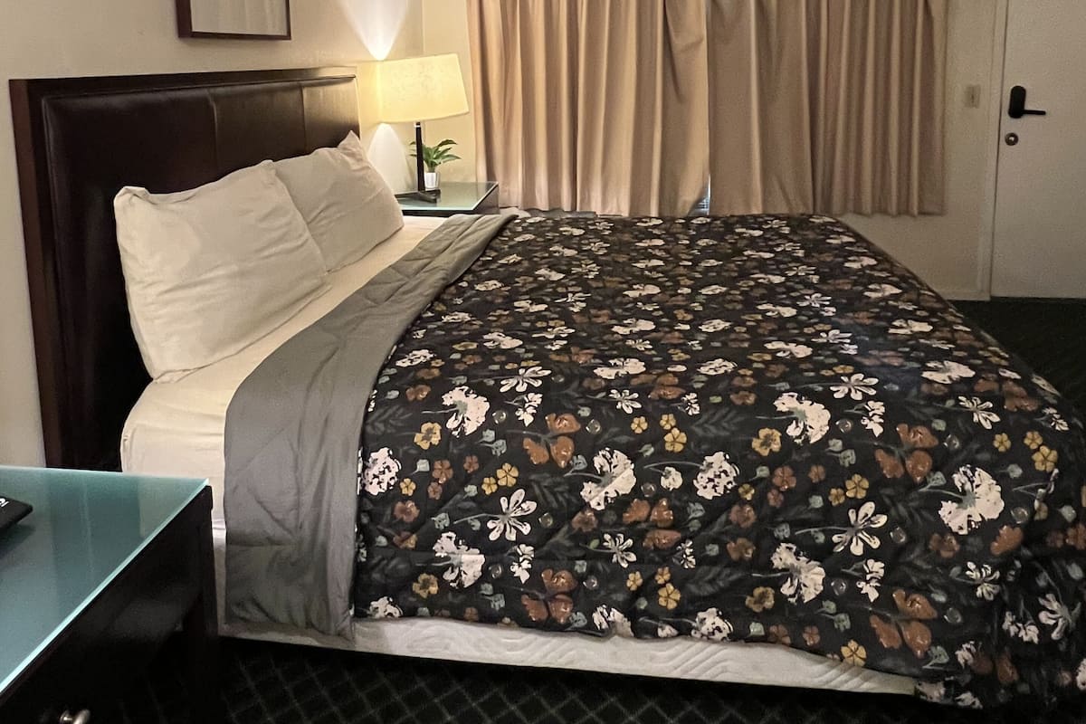 A hotel room with a bed, a nightstand, a lamp, a framed picture on the wall, and a door.