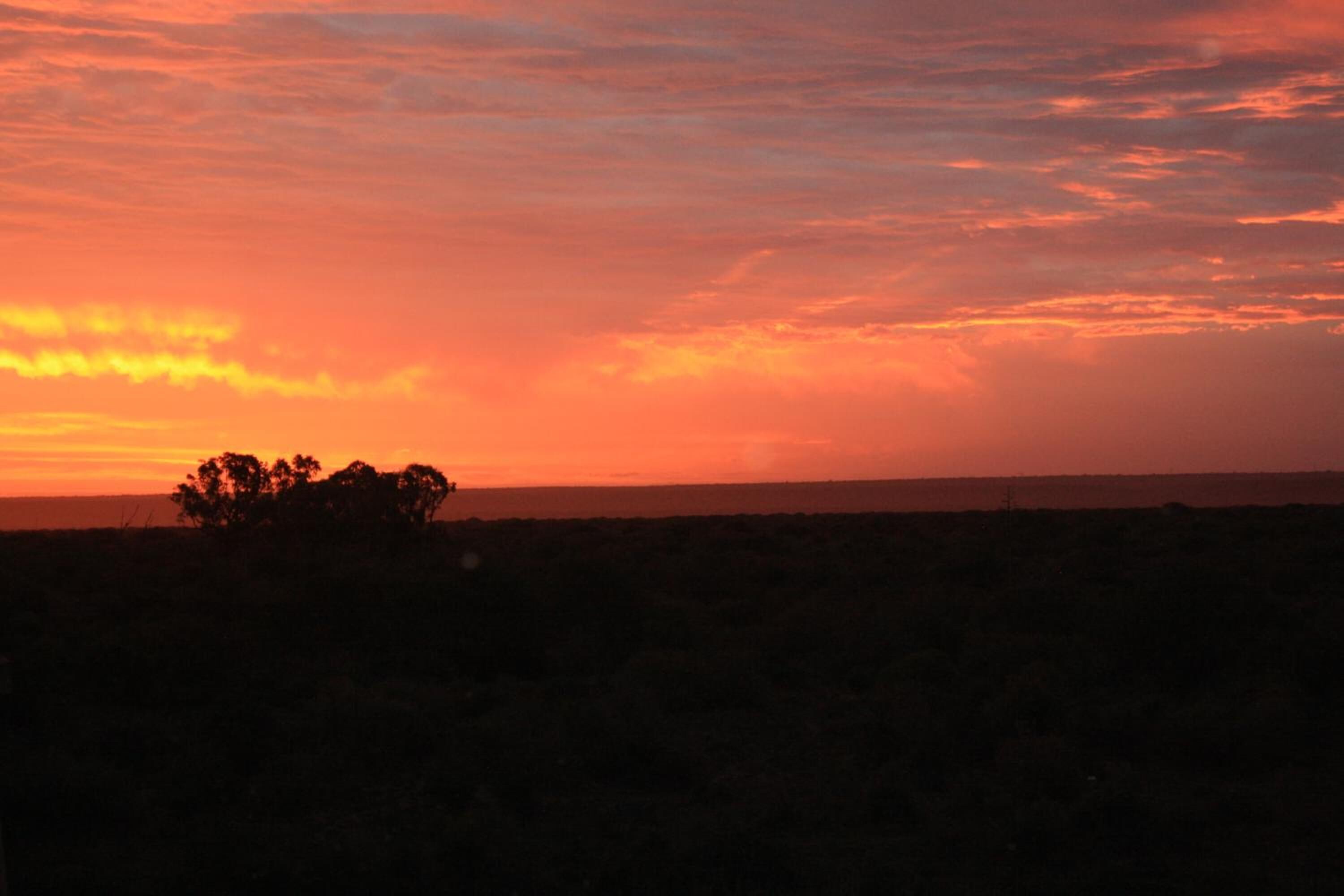 Un coucher de soleil sur un paysage plat, avec une végétation clairsemée et un horizon dégagé.
