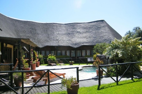 Outdoor pool, sun loungers