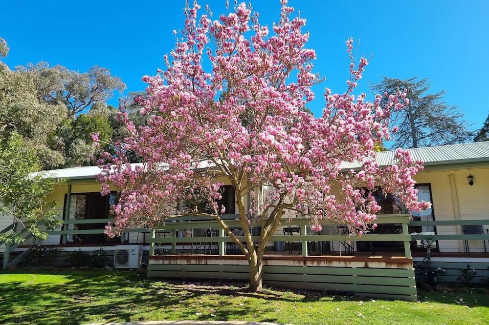 Golden Heritage Apartments Beechworth