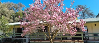 Golden Heritage Apartments Beechworth