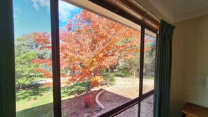 Una habitación con un amplio ventanal que da a un jardín con follaje otoñal.
